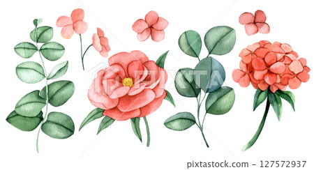 set of pink eucalyptus flowers and leaves. watercolor illustration peony flowers, hydrangea clipart 127572937