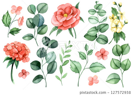 set of pink eucalyptus flowers and leaves. watercolor illustration peony flowers, hydrangea clipart 127572938