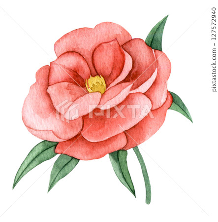 Watercolor illustration, pink peony flower clipart 127572940