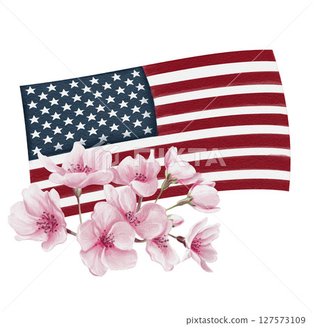 Flag of the United States of America in blooming pink flowers. Cherry blossom festival in Washington D.C. Spring festival. Watercolor illustration without background. Hand drawn. High quality Flag of the United States of America in blooming pink flowers. Cherry blossom festival in Washington D.C. Spring festival. Watercolor illustration without background. Hand drawn. High quality 127573109