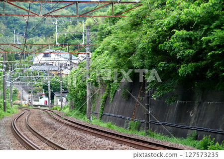 Tokaido Main Line Nebukawa-Hayakawa JR East Tokaido Main Line Nebukawa-Hayakawa JR East 127573235