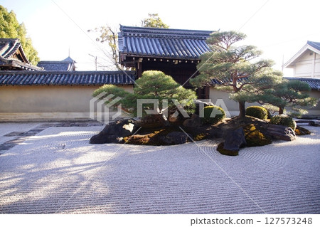 京都府，東寺甘地院，涅槃花園「長者之庭」枯山水花園，京都市南區九條町，2022 年 2 月 127573248