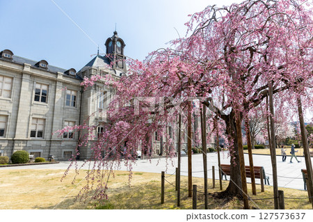 Red weeping lily and Bunshokan 127573637