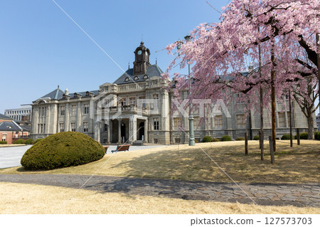 垂枝櫻花與文翔館 垂枝櫻花與文翔館 127573703