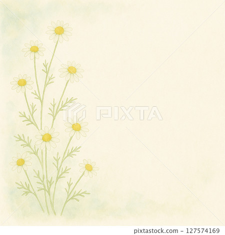 Elegant chamomile watercolor corner frame 127574169