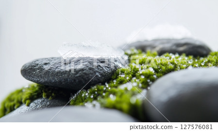 Close-up of moss and ice on gray stones 127576081