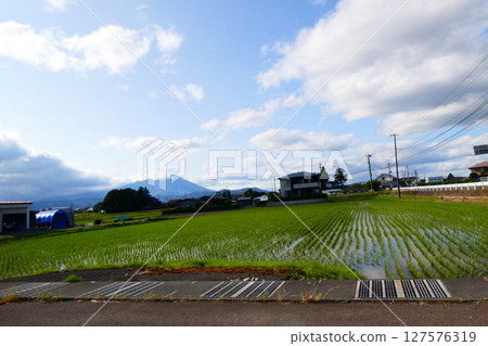 東北地區盛岡插秧後的田園風光、岩手山、天空和雲彩 127576319