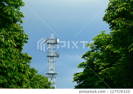 A row of horse chestnut trees and a radio tower in Uchimaru, Morioka City, Iwate Prefecture, on a pleasant June day 127576320
