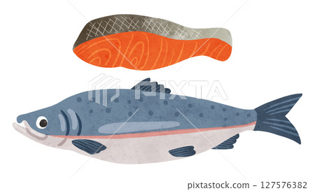 Salmon fillet set watercolor hand-drawn illustration 127576382