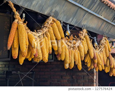Dry corn cobs hang on a rope 127576424