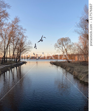 sunset on the river with tree silhouette, nature photography sunset on the river with tree silhouette, nature photography 127576887