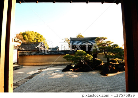 京都府,東寺甘地院,涅槃花園「長者之庭」枯山水花園,京都市南區九條町,2022 年 2 月 京都府,東寺甘地院,涅槃花園「長者之庭」枯山水花園,京都市南區九條町,2022 年 2 月 127576959