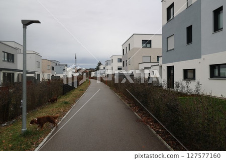 A dog is walking down a sidewalk in front of a row of houses 127577160