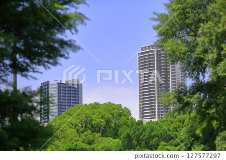 Blue sky and collective housing 127577297