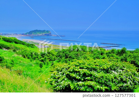 View from Shiomi Park Observatory, Muroran, Hokkaido 127577301