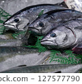 鮮魚 127577790