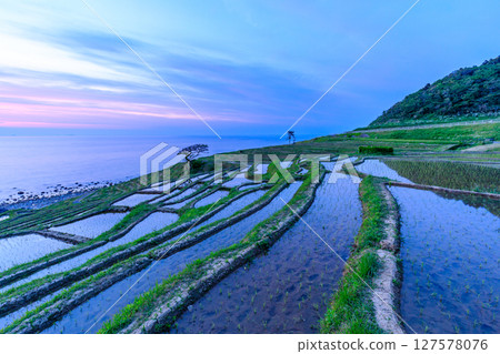 石川縣輪島市初夏日落後的白米千枚田稻田 石川縣輪島市初夏日落後的白米千枚田稻田 127578076