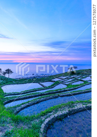 Shiroyone Senmaida rice fields in early summer after sunset, Wajima City, Ishikawa Prefecture Shiroyone Senmaida rice fields in early summer after sunset, Wajima City, Ishikawa Prefecture 127578077