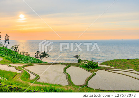 Early summer Shiroyone Senmaida rice fields and sunset, Wajima City, Ishikawa Prefecture 127578078