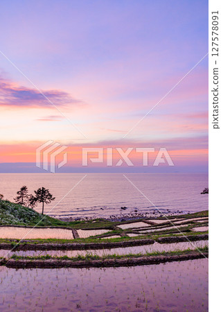 Shiroyone Senmaida rice fields in early summer after sunset, Wajima City, Ishikawa Prefecture Shiroyone Senmaida rice fields in early summer after sunset, Wajima City, Ishikawa Prefecture 127578091
