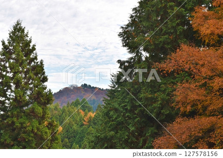 Mitake Valley in autumn foliage season, Tokyo 127578156