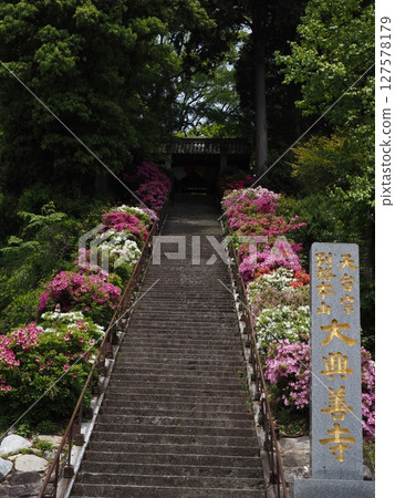Scenery of Daikozenji Temple Scenery of Daikozenji Temple 127578179