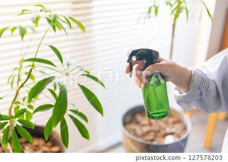 灑水 127578203