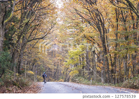Image of cycling along a road with autumn leaves (around Lake Onbara) Image of cycling along a road with autumn leaves (around Lake Onbara) 127578539