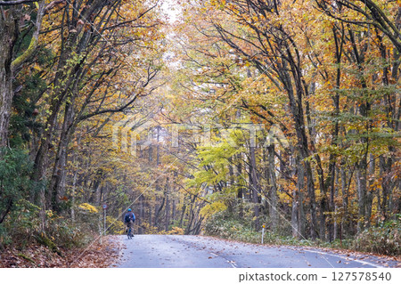 Image of cycling along a road with autumn leaves (around Lake Onbara) Image of cycling along a road with autumn leaves (around Lake Onbara) 127578540