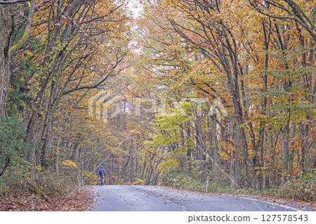 Image of cycling along a road with autumn leaves (around Lake Onbara) Image of cycling along a road with autumn leaves (around Lake Onbara) 127578543