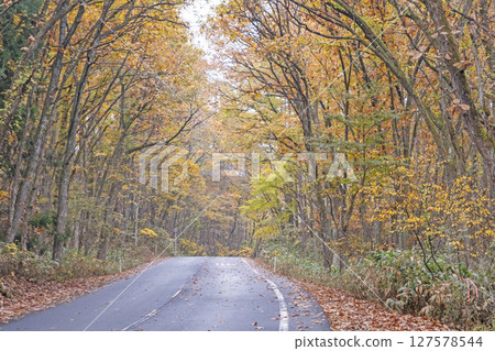 沿著紅葉路騎行的景象(恩原湖周邊) 沿著紅葉路騎行的景象(恩原湖周邊) 127578544