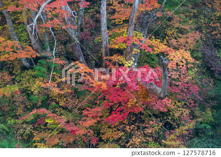 Fall of Ohimekawa Fall of Ohimekawa 127578716