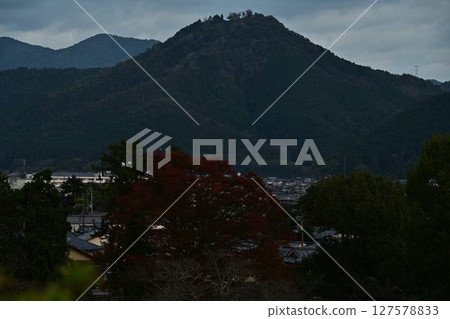 從篠山城眺望的景色 127578833
