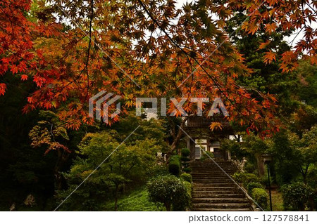 The approach to a temple covered in autumn leaves The approach to a temple covered in autumn leaves 127578841