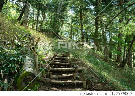 在山的台階 在山的台階 127579060