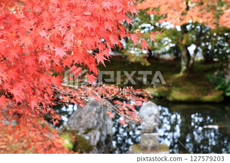 Autumn leaves around the pond Autumn leaves around the pond 127579203