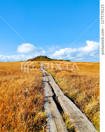 秋季攀登栗駒山(栗駒山~益嶽山:白金濕原) 秋季攀登栗駒山(栗駒山~益嶽山:白金濕原) 127579225