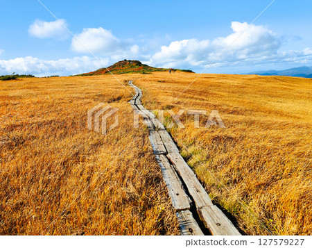 Climbing Mount Kurikoma in autumn (Mount Kurikoma - Mount Masutake: Shirogane Marshland) 127579227
