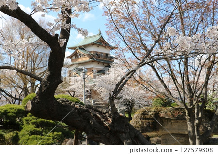 高島公園是諏訪湖畔著名的賞櫻勝地 高島公園是諏訪湖畔著名的賞櫻勝地 127579308