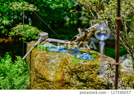 夏日里,繡球花和流水聲帶來清涼 夏日里,繡球花和流水聲帶來清涼 127580057