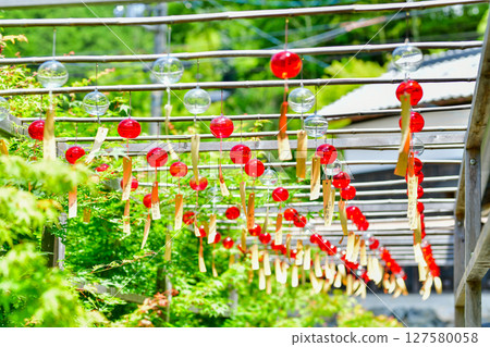A green corridor with red and transparent wind chimes swaying 127580058