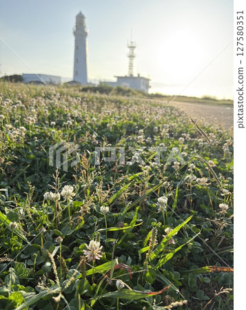Inubosaki Lighthouse bathed in the morning sun on the day before the summer solstice Inubosaki Lighthouse bathed in the morning sun on the day before the summer solstice 127580351
