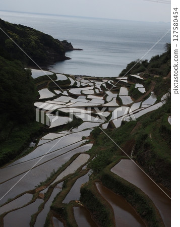 浜野浦梯田 127580454