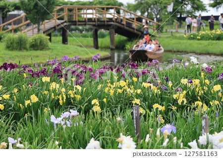 Mizuhori Sawara Iris Park Mizuhori Sawara Iris Park 127581163