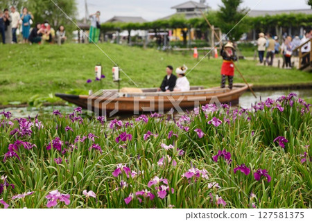 Mizuhori Sawara Iris Park 127581375