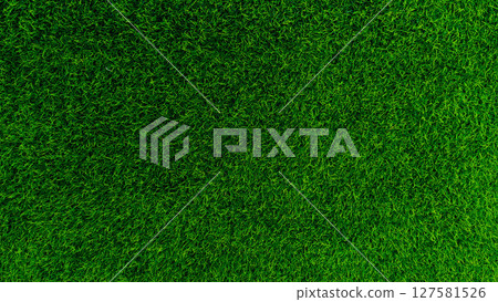 Green grass background, top view background of garden bright grass concept used for making green backdrop. 127581526