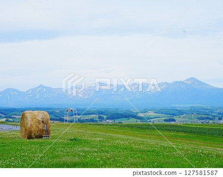 北海道花卉樂園上富良野的草捲的壯麗景色 北海道花卉樂園上富良野的草捲的壯麗景色 127581587