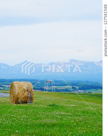 北海道花卉樂園上富良野的草捲的壯麗景色 北海道花卉樂園上富良野的草捲的壯麗景色 127581588