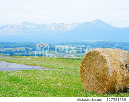 北海道花卉樂園上富良野的草捲的壯麗景色 北海道花卉樂園上富良野的草捲的壯麗景色 127581589