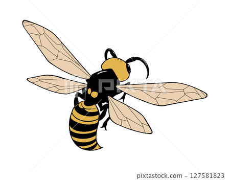 Illustration of a flying hornet from behind Illustration of a flying hornet from behind 127581823